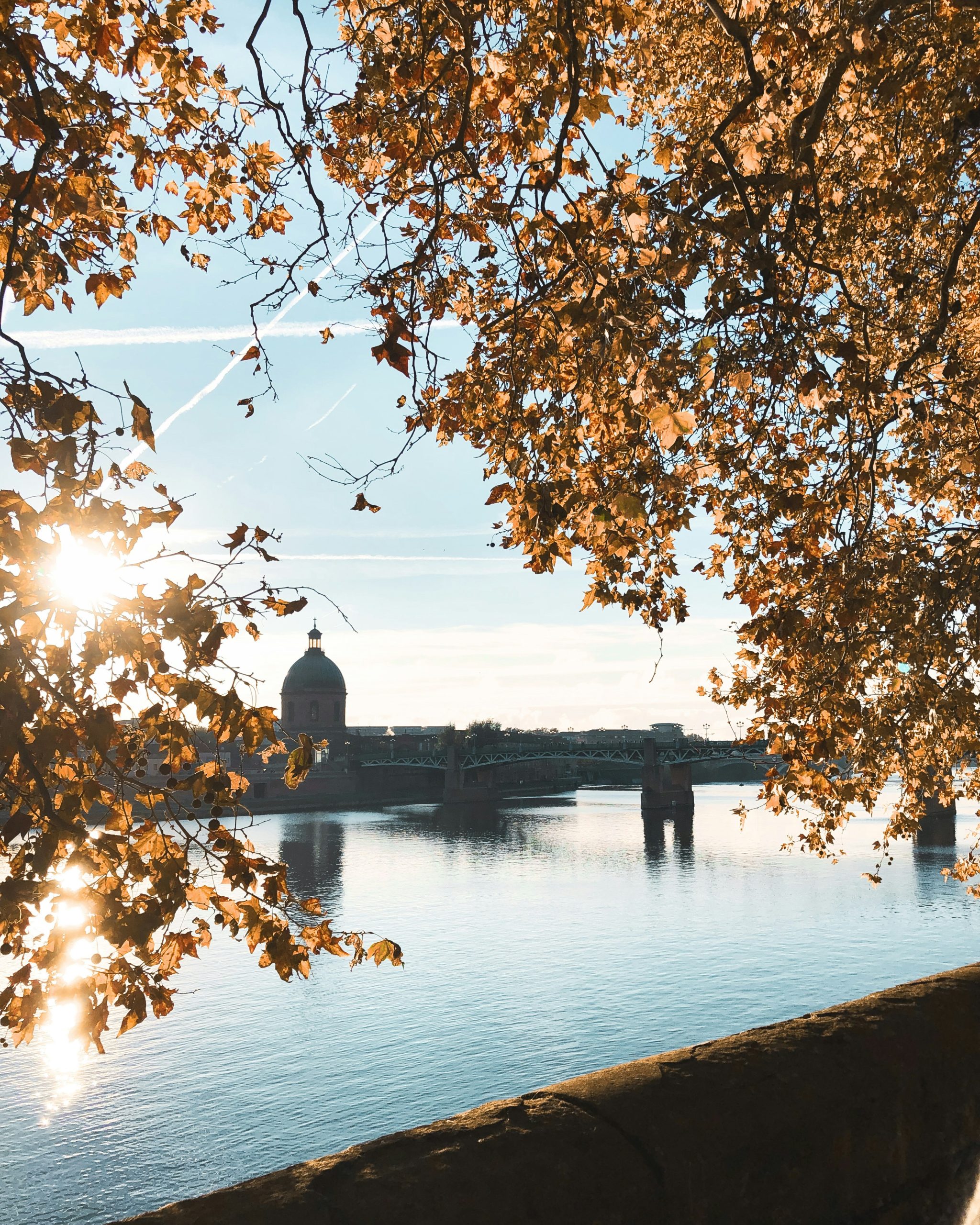 marion p 5vt95vys a0 unsplash